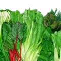 TUNNE TOITU | Liiga palju köögivilju pole ka tervisele kasulik! Roheliste lehtköögiviljade omastamise eripärad   