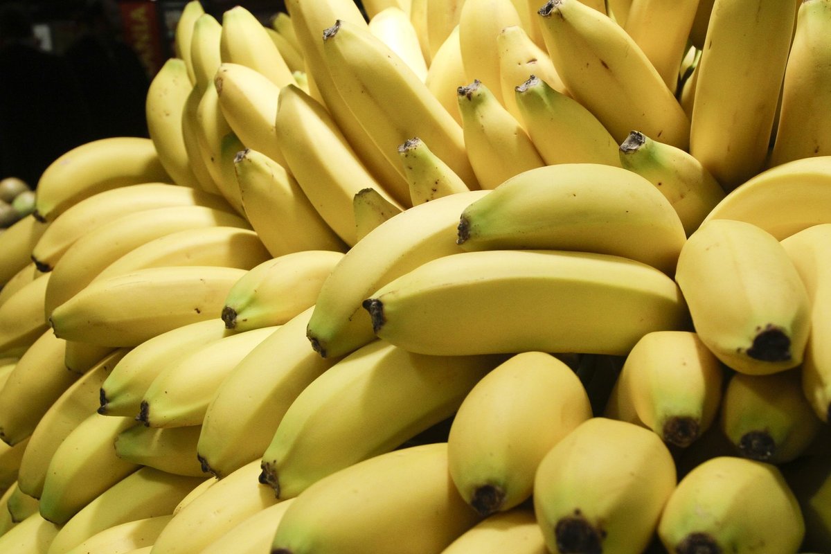 Сборщик бананов