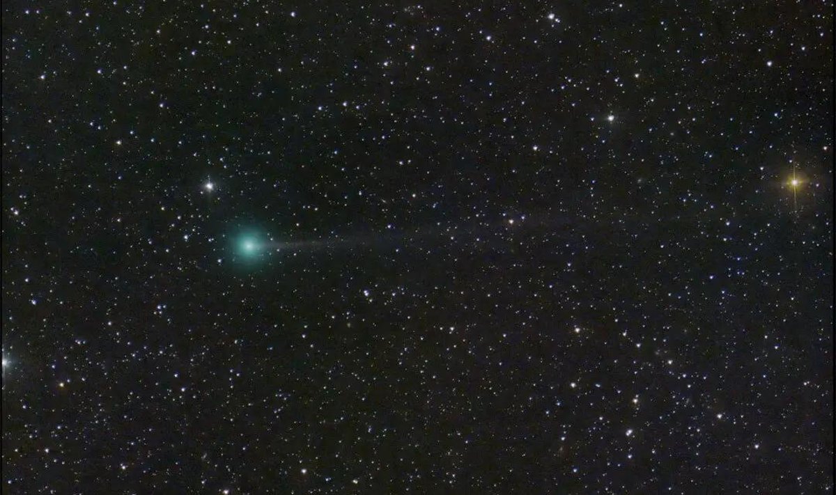 Nishimura komeet