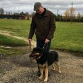 USKUMATU LUGU | Kolm kuud Viljandi varjupaigas kükitamist ja koer läks lõpuks oma koju tagasi