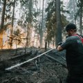 ФОТО | Смотрите, как пожарные боролись с обширным ландшафтным пожаром в Ания