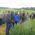 FOTOD: Voore Farm pakkus taimekasvatusinstituudile pinda
