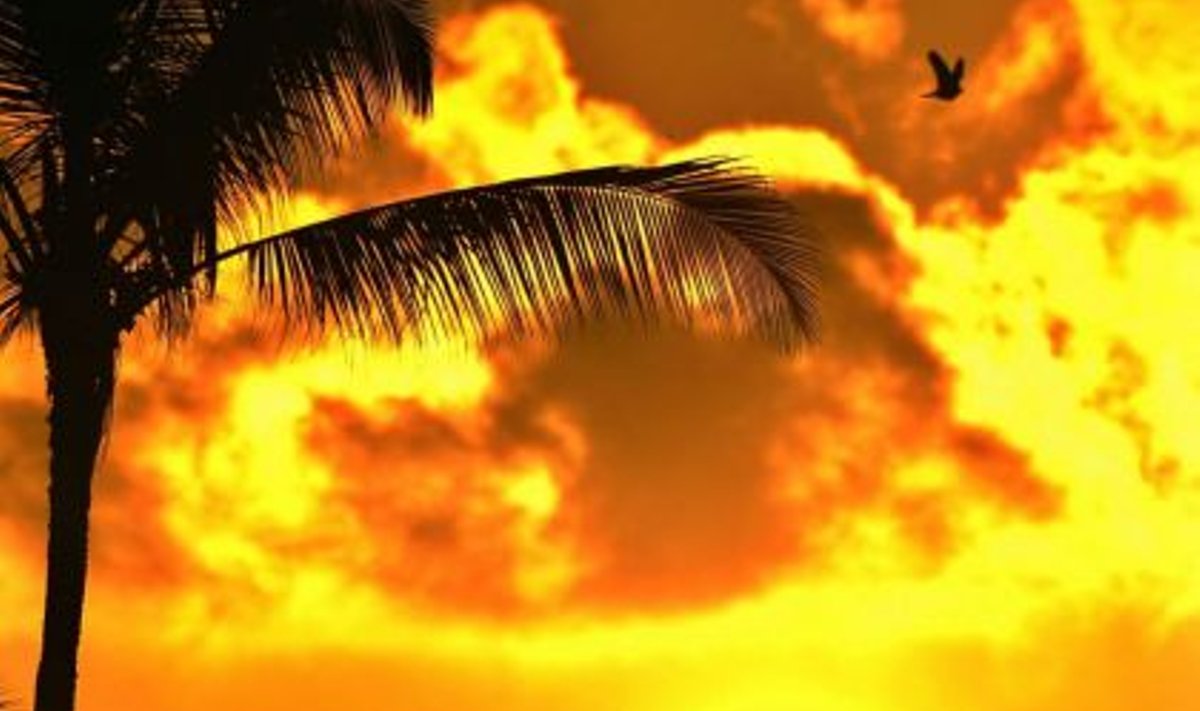 Aasta viimane päikeseloojang Havail