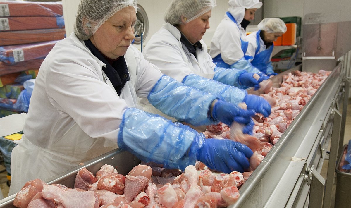 HK Scan Estonia Tabasalu lihatööstuses on ka tänapäeval üsna palju käsitsitööd, sest kõik pakendisse minevad tükid tuleb veel ka noaga üle käia.