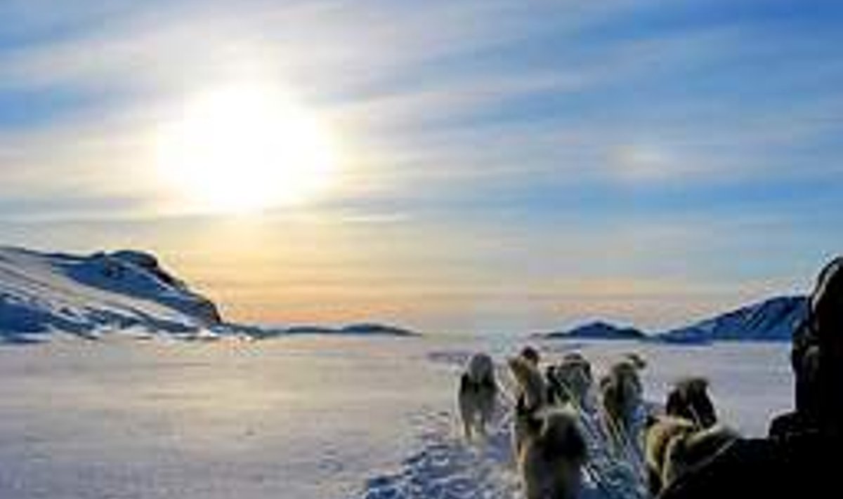 RAKENDIGA JÄÄL: Koerajõul liigub elu Gröönimaal ka täna­päeval. Andres Karjus