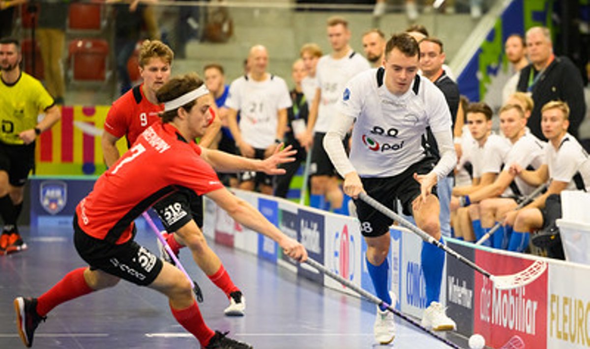 Eesti saalihokimeeskond