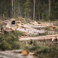 Земля за 30 лет потеряла 178 млн га леса