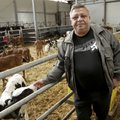 Piimatootja: lehmad, kes lüpsavad alla 28 liitri päevas, toodavad kahjumit. Aga loomad pole selles süüdi