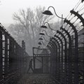 Польский министр якобы заявил, что Освенцим освобождали украинцы