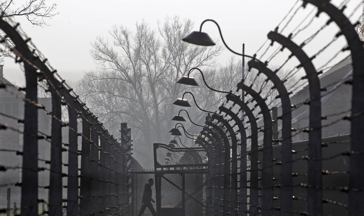 A visitor walks between electric barbed-wired fences at the Auschwitz-Birkenau memorial and former concentration camp