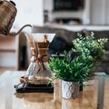Дом без запахов: необычное применение кофейных фильтров в быту