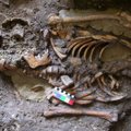 Gruusiast leiti eurooplaste esivanemate neljas, senitundmatu ürgliin
