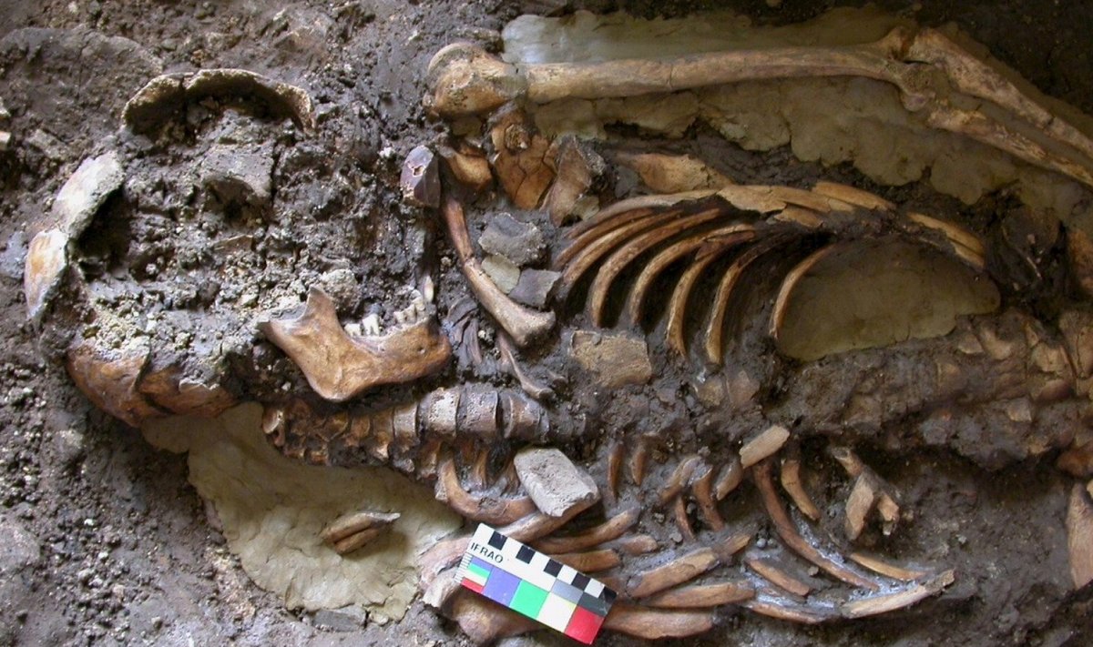 Kotias Kide koobas peitis kadunud esivanema luustikku. (Foto: REUTERS)