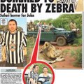 FOTO: Surm triibulise särgi tõttu: Newcastle'i fänn langes safaris tiirase sebra saagiks