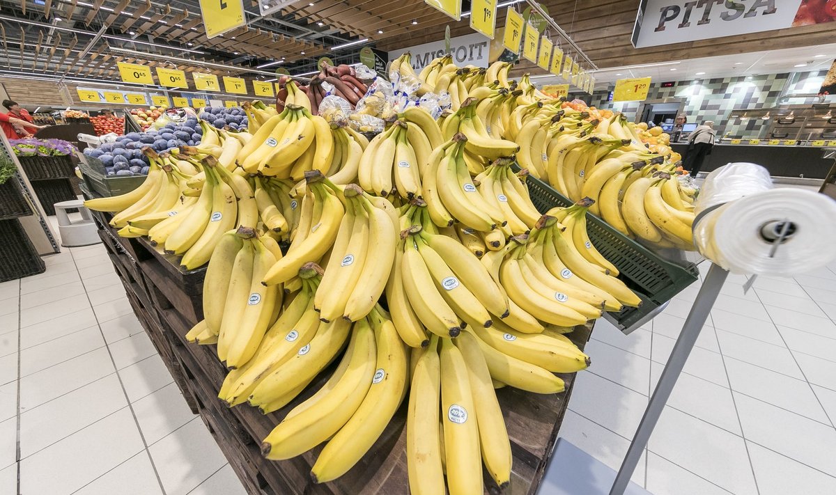 Meie isevarustatus puuviljade ja marjadega on vaevalt kaheksa protsenti, ülejäänu veetakse sisse mujalt maailmast ning poelettidel võimutsevad kodumaiste puuviljade asemel banaanid.