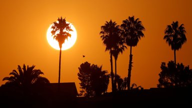 Kliimateadlased: tänavune juuli on planeedi Maa viimase 120 000 aasta kõige kuumem