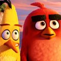 ARVUSTUS: "Angry Birds: Kurjad linnud. Film" pakub humoorikat viharavi nii suurtele kui väikestele
