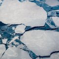 Teadlased: Põhja-Jäämeri võib juba paarikümne aasta pärast jäävaba olla