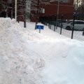 ФОТО читателя Delfi: Места для инвалидов завалены снегом