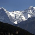 Alpides hukkus laviini tagajärjel neli inimest