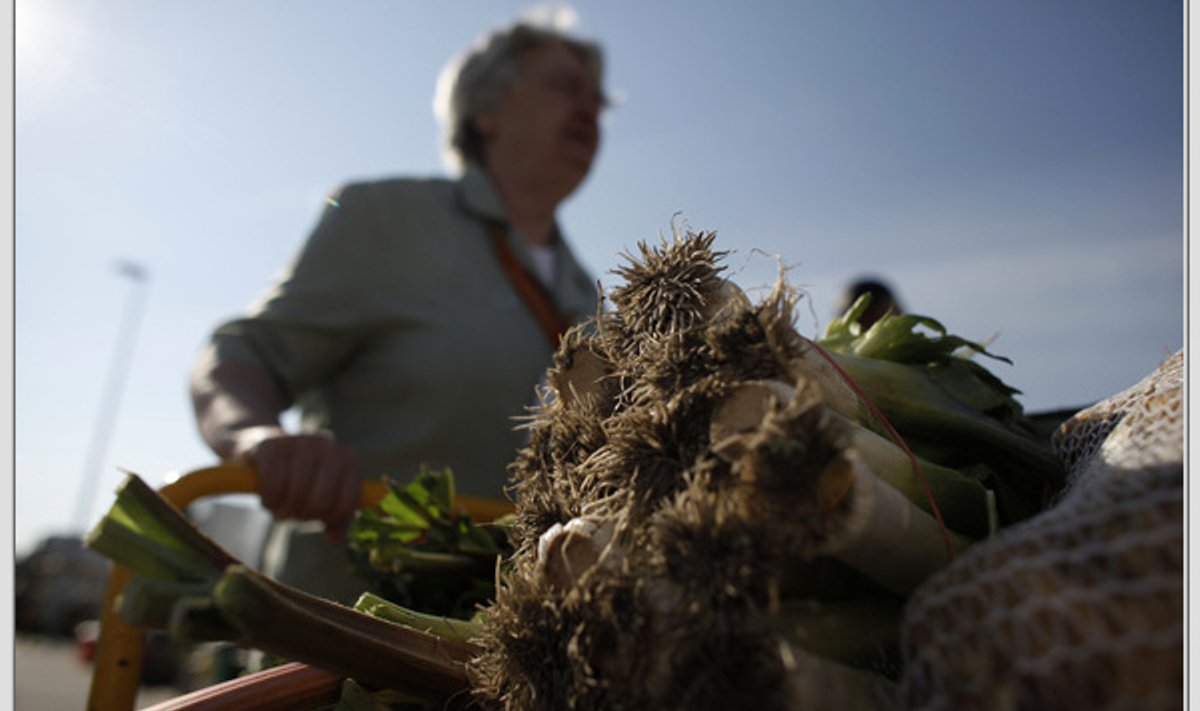 Wanda, 71 a vabatahtlik Poolas põllumeeste turul toidupanga jaoks annetusi kogumas. 