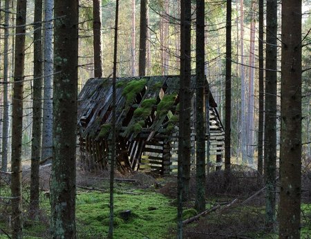 Vana heinaküün endises Ilumetsa metskonnas Põlvamaal. Foto Jüri Pere
