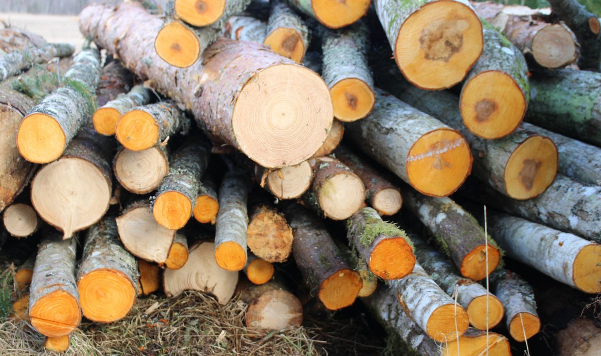 2016. aastal eksporditi kokku 1,91 miljardi euro väärtuses puidupõhiseid tooteid.