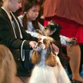 Mainekas näitus "Eesti Võitja 2018" toob nädalavahetusel kokku koeramaailma tõelised tähed