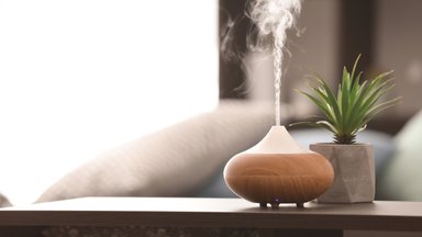 6 эфирных масел, которые подойдут для ароматизации дома и не только