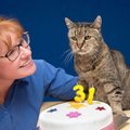 PALJU ÕNNE: Maailma vanim kass sai 31. aastaseks!