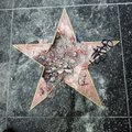 Trumpi täht Hollywoodi tähtede alleel peksti kirkaga sodiks
