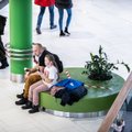 Социологи определили самый популярный торговый центр Таллинна