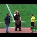 VIDEO | Venemaal jalgpallimängu eel esinenud karu põhjustas Inglismaal skandaali