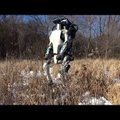 Appi, robotit pekstakse! Boston Dynamics kiusab jälle oma kätetööd