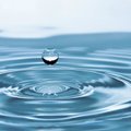 Ülemaailmsel veepäeval õpitakse nutiseadmega veekvaliteeti määrama