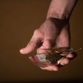 Богато жить не разрешишь: после выхода на пенсию жители Эстонии теряют две трети своего дохода