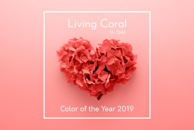Elav Korall - aasta värv