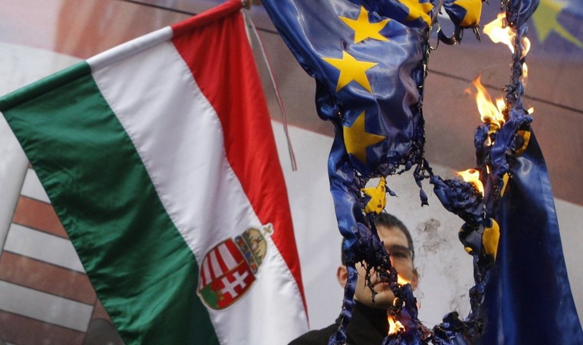 Paremäärmusliku Jobbiki partei parlamendisaadik Elod Novak põletamas EL-i lippu hiljutisel meeleavaldusel Budapestis.