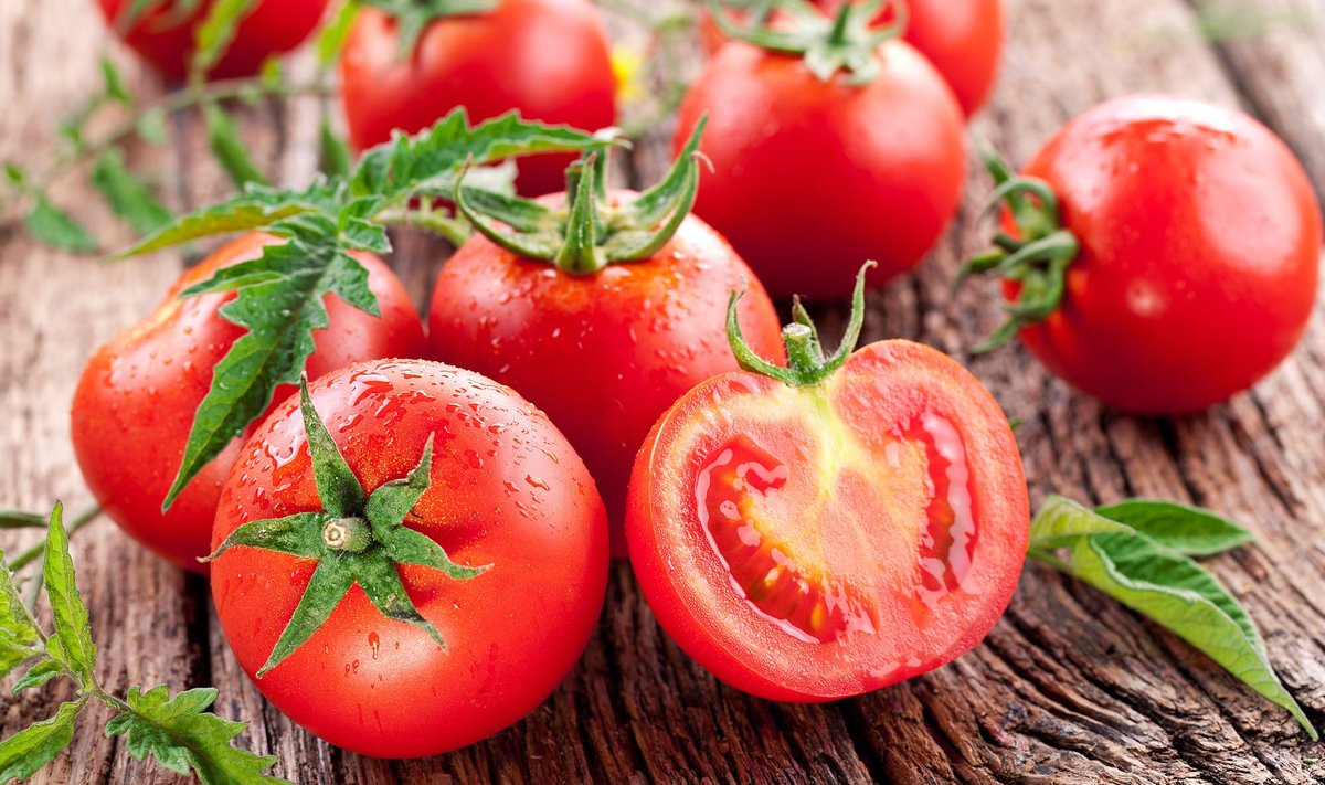 Kodus kasvatatud tomat on parim!
