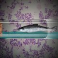 Опасная и мутирующая бактерия — в продукции известного производителя рыбы. В Эстонии уже умерло два человека