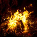 В Ночь древних огней в честь юбилея ЭР по всей стране зажгутся костры