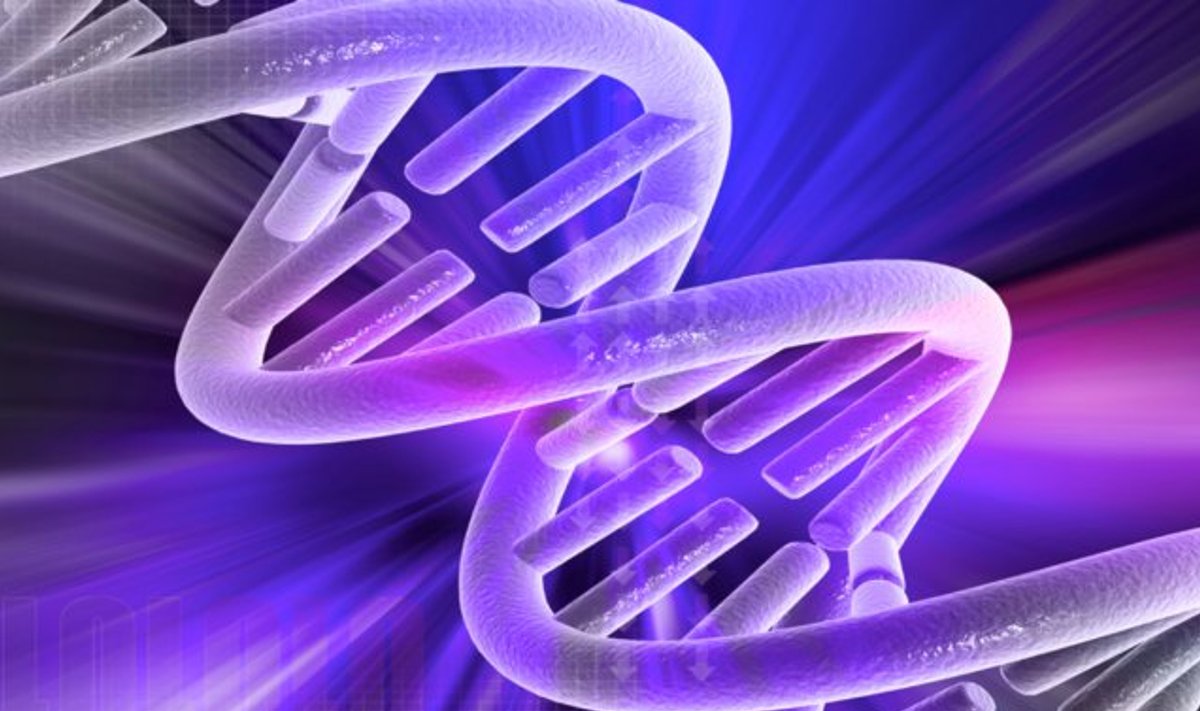 DNA molekul. Autor/allikas: AndreaLaurel/Creative Commons