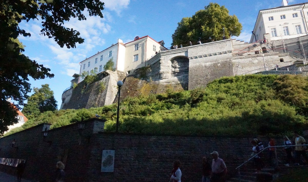 Опорная стена Тоомпеа и лестница Паткули