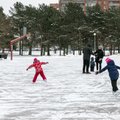 В Пыхья-Таллинне открыт общественный зимний каток