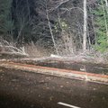 Päästjad eemaldasid Läänemaa teedelt puid neljas paigas