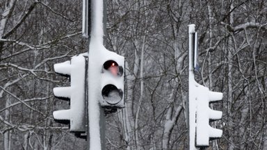 Снегопад в Таллинне оставил жителей без такси