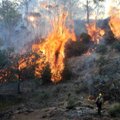 VÕRDLE | Kui suured on Austraalia tulekahjud Eesti pindalaga võrreldes?