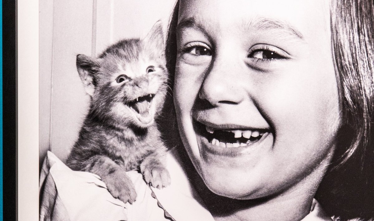 Walter Chandoha „Paula & Kitten” (1955). Chandoha kassiportreed teevad seda, mida üks portree tegema peab: püüavad sarnasust ühes loomale kui indiviidile karakteerse siseilmaga.