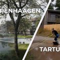 SELGITAV VIDEO | Lihtne põhjus, miks Eesti tänavad vihmaga üle ujutavad, aga Taani omad mitte