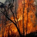 Austraalia põlengud võivad solkida ilmastiku kogu maailmas